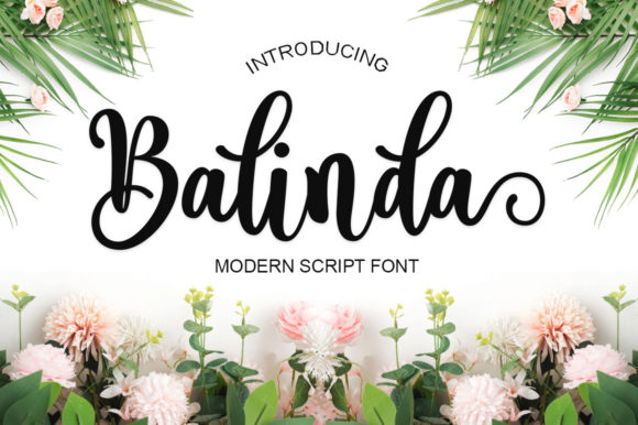 Balance Your Brand with Balinda