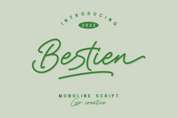 Bestien: A Stylish Script Font