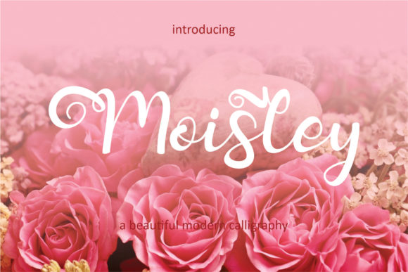 Moisley Font: Elegant Script for Craft Creators