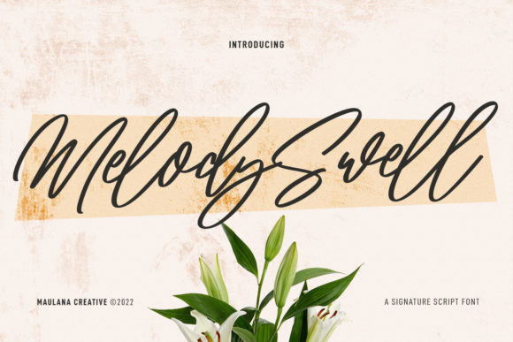 Use Melody Swell for Stylish Campaigns